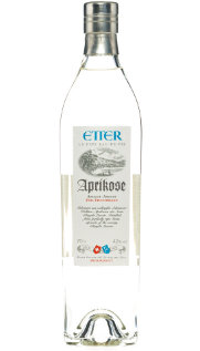 Etter aprikose royale luizet